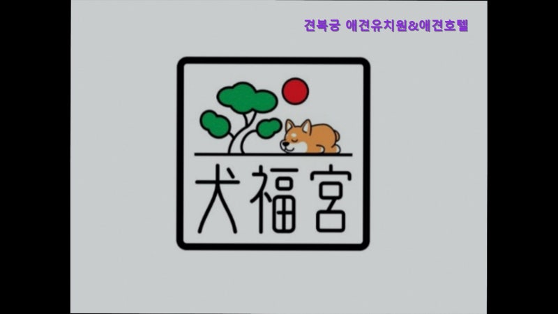 사진 2