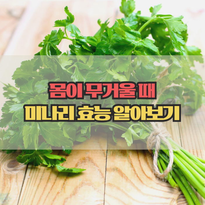  미나리 효능, 해독부터 혈관 건강까지 한눈에 정리
