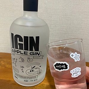 아이긴(IGIN) 애플진 하이볼 레시피 만들기