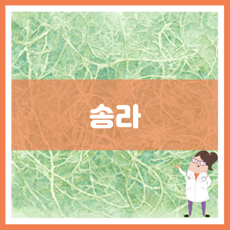  송라 효능 부작용 먹는 방법