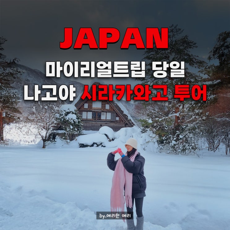  나고야 시라카와고 버스투어 리얼 후기｜마이리얼트립의 나고야 다카야마·시라카와고 눈 투어