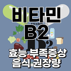 비타민 b2 효능 부족증상 많이 들어있는 음식 권장량