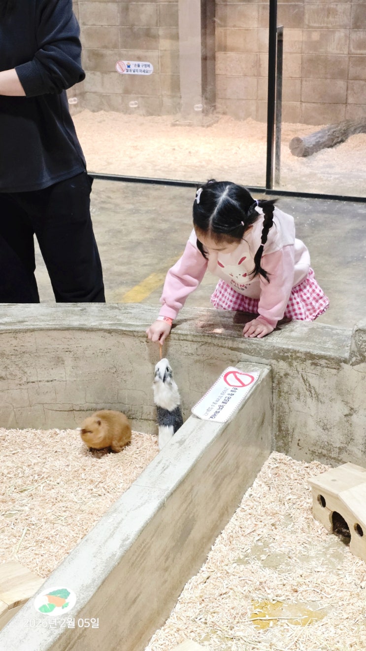  용인 실내동물원 수달앤쥬 용인점 추운 겨울 아이랑 가기 딱