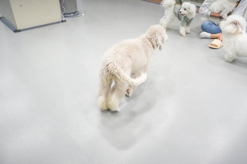 사진 9