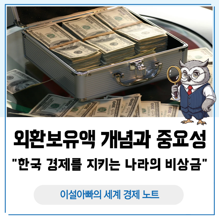  외환보유액 개념과 중요성: 한국 경제를 지키는 나라의 비상금