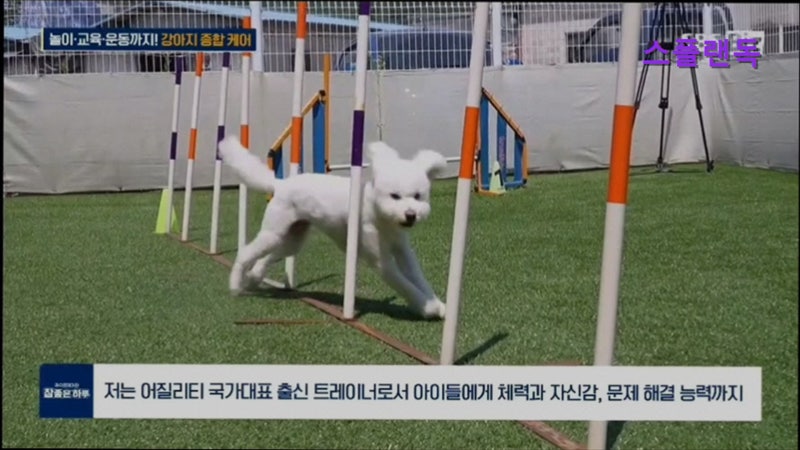 사진 2