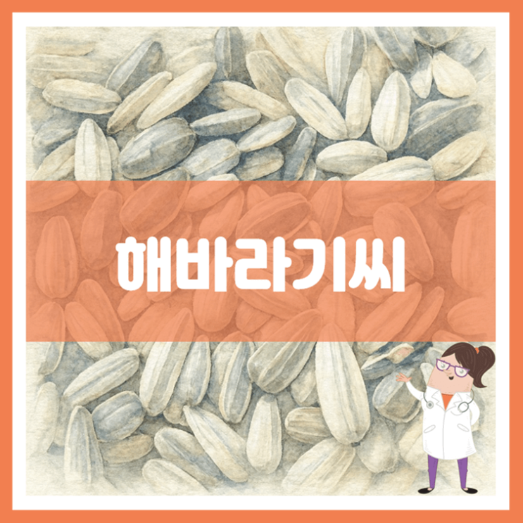  해바라기씨 효능 영양성분 부작용