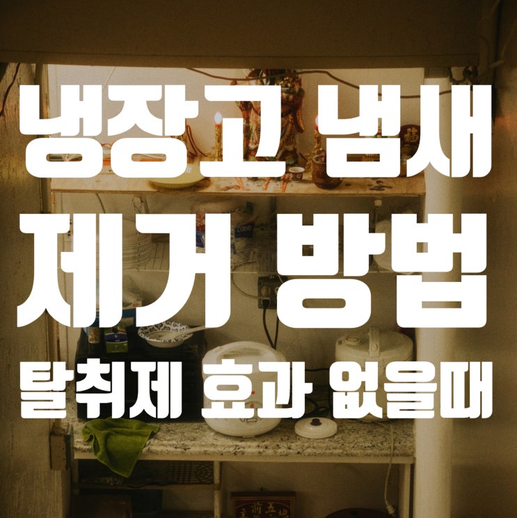  냉장고 냄새 제거 방법 (탈취제 넣어도 안 없어지는 이유)