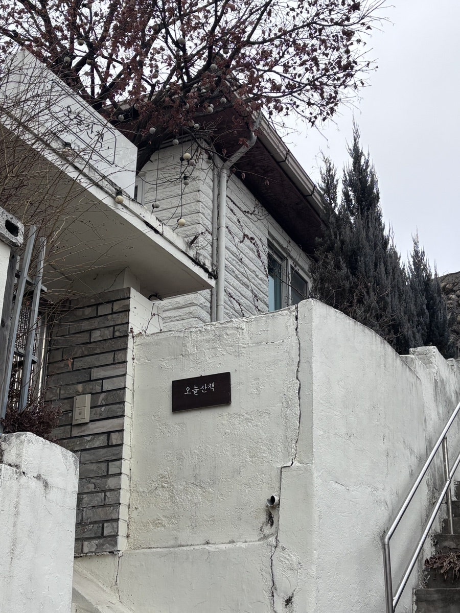 치즈얌 사진 1