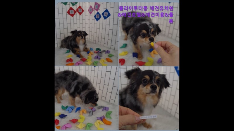 사진 2