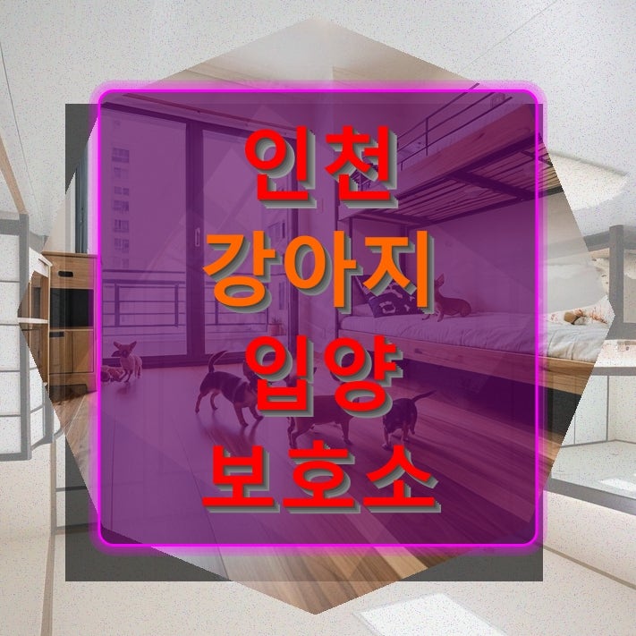 인천 강아지 입양 보호소 후회 없는 선택을 위한 완벽 가이드