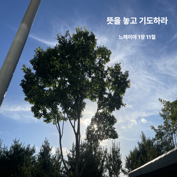  뜻을 놓고 기도하라 느헤미야 1장 11절