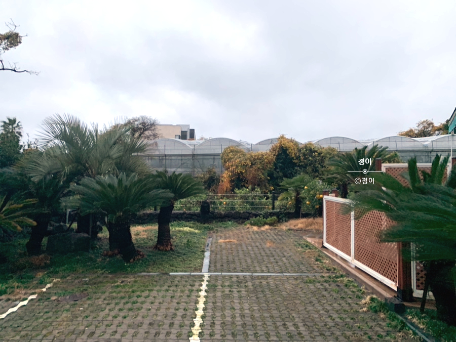 탐라카운티 사진 1