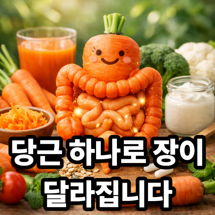  당근이 장 건강에 도움 되는 이유, 변비부터 장 컨디션까지