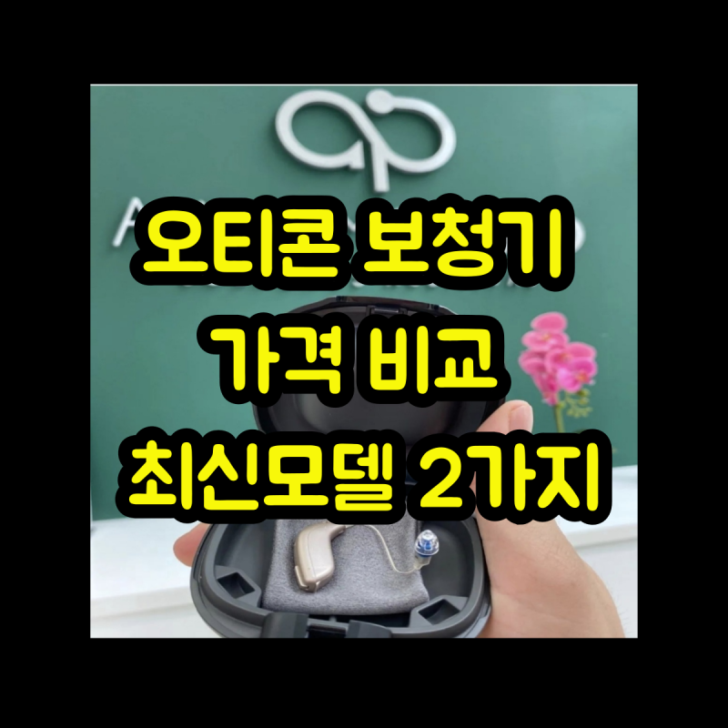 오티콘 보청기 가격 비교 최신모델 2가지