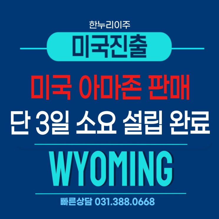  미국 아마존 판매 와이오밍주 법인설립 3일 완료