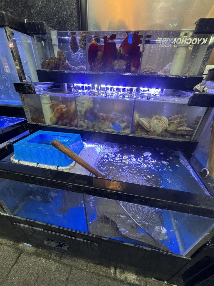 Baekganjangsaeu Dasanjeom photo 6