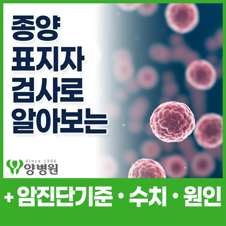  혈액검사 종양표지자(Tumor Marker) 검사 의미 – 암 진단 기준과 한계 정리