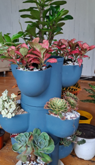 일상이 풍성하고 행복해지는 반려식물용품 전문 쇼핑몰 !