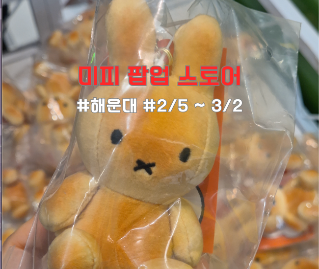  부산 해운대 미피와 친구들 팝업스토어 다녀온 후기 | 미피 팝업스토어 방문후기