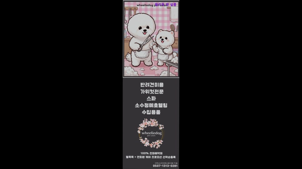 윌리독 사진 5