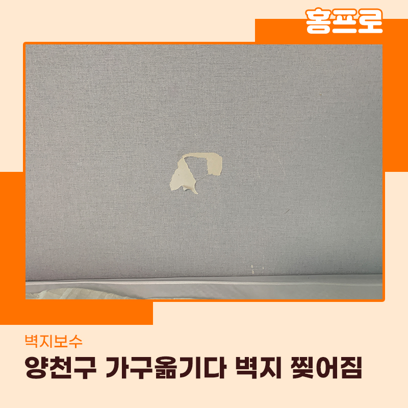 집벽지찢어짐보수 양천구현장 이사가기전 조심해야하는 이유