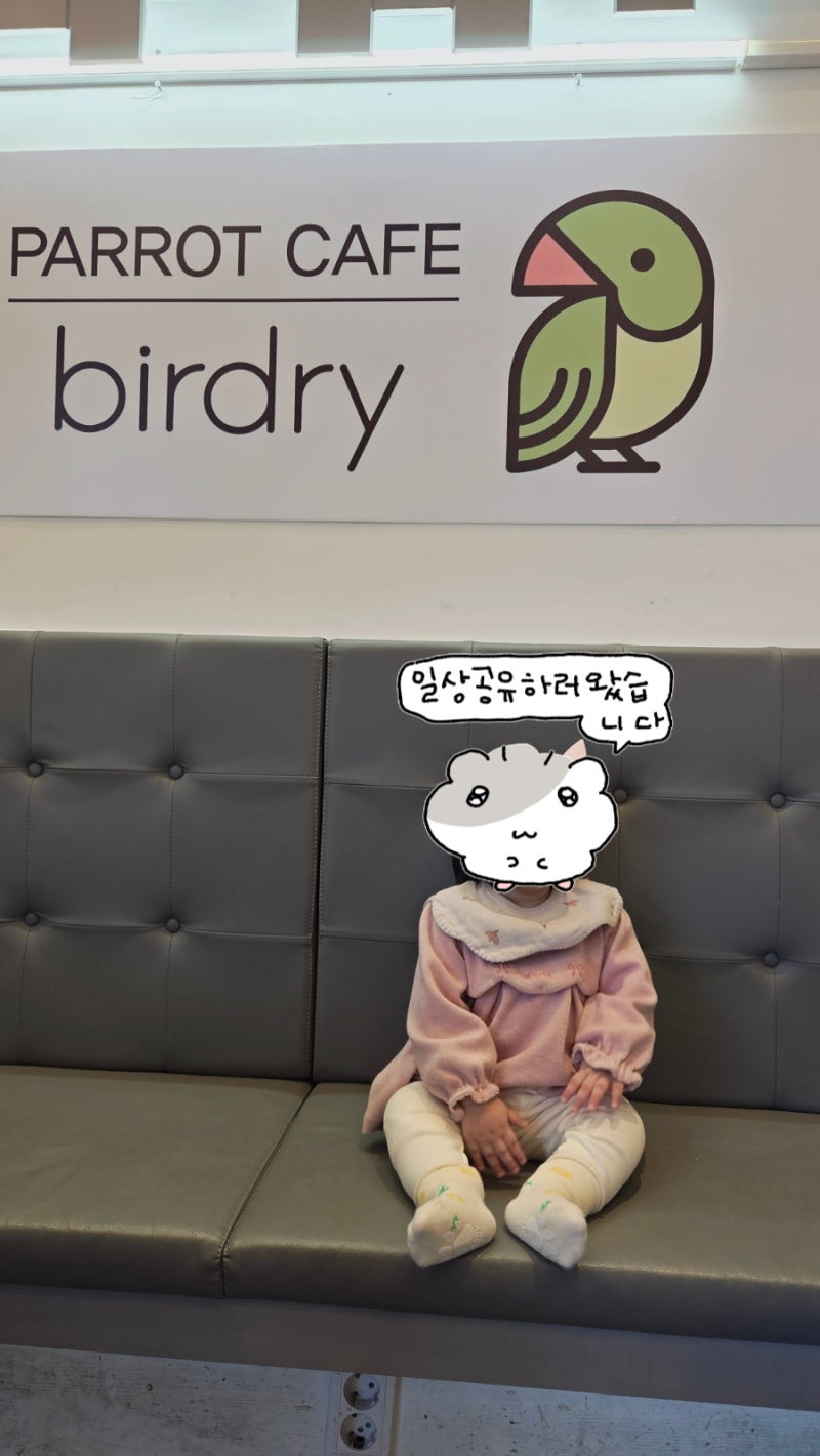 사진 5