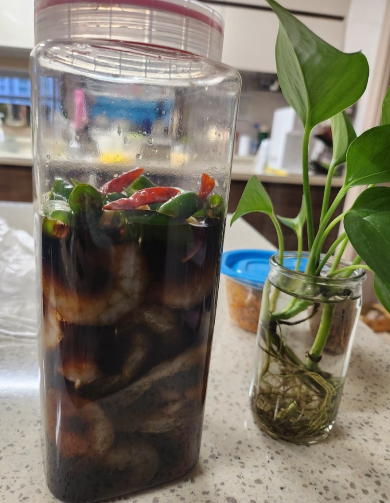 간단 간장새우장 담기  새우장 만들기  새우장레시피 새우효능