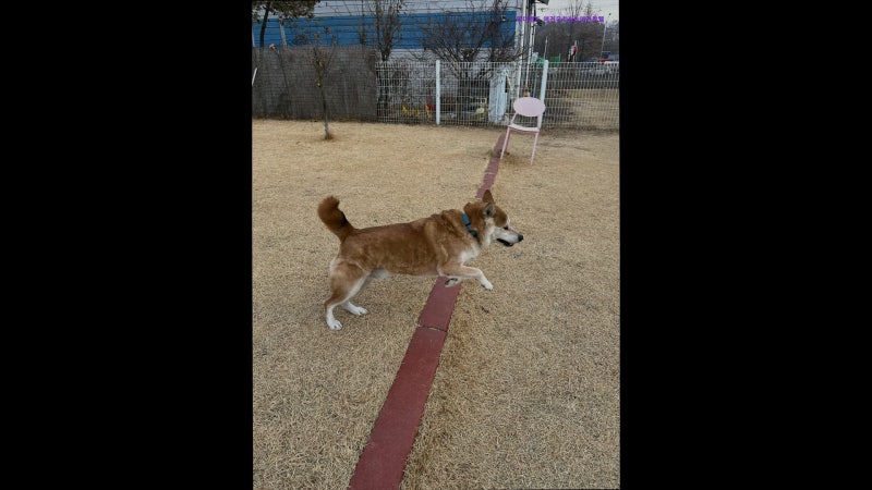 사진 4