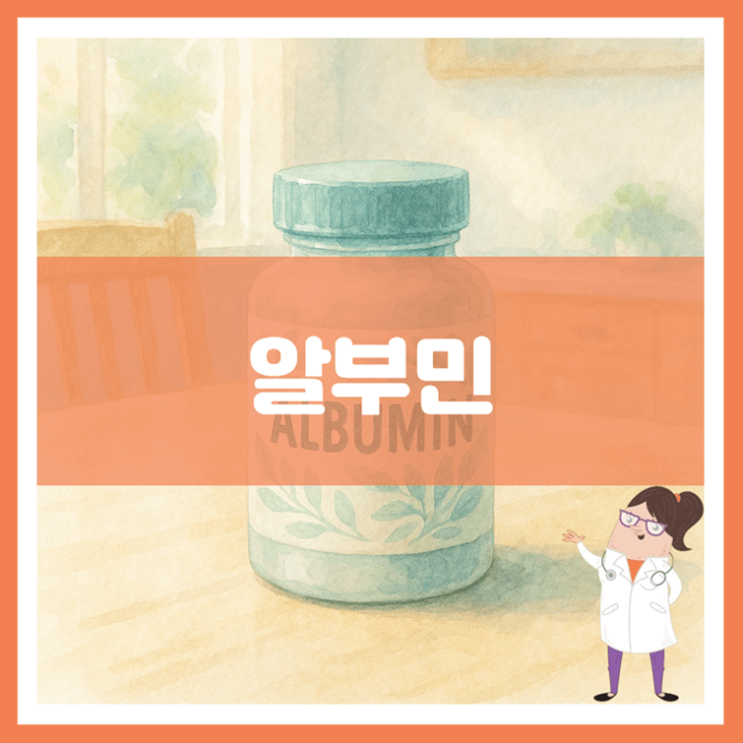  알부민 3가지 효능 섭취방법 부작용