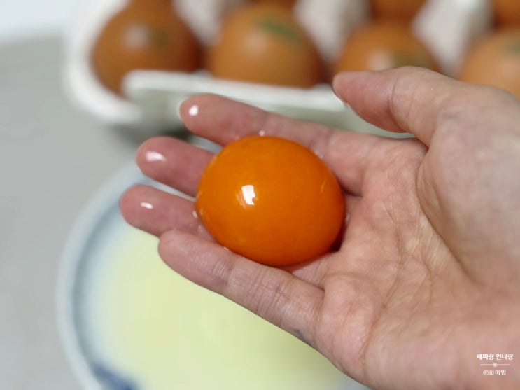  재방문 프레시파머 올림픽파크 포레온 둔촌동 맛집 계란 난각번호 1번 유정란