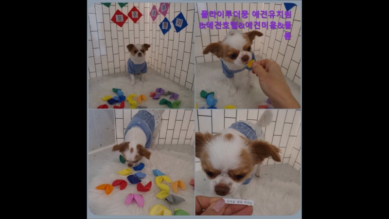 사진 3