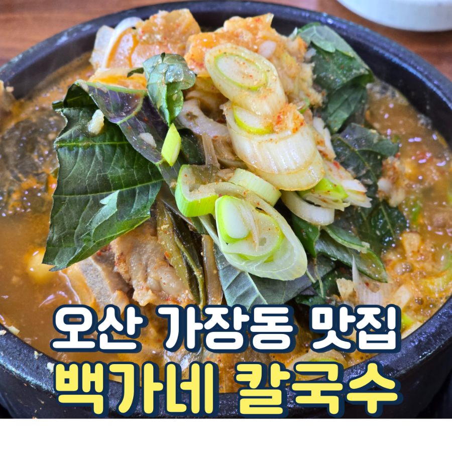 백가네칼국수 사진 1