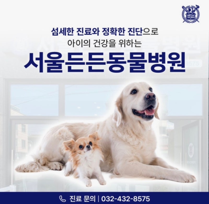 특수동물 진료 가능한 서울든든동물병원 인천 야간·일요일 진료까지