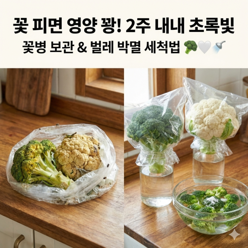 브로콜리 보관법 콜리플라워 세척법 브로콜리 데치기 냉동 보관
