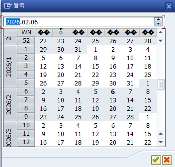  SAP 공통 - GUI상 한글 글자가 깨질 때