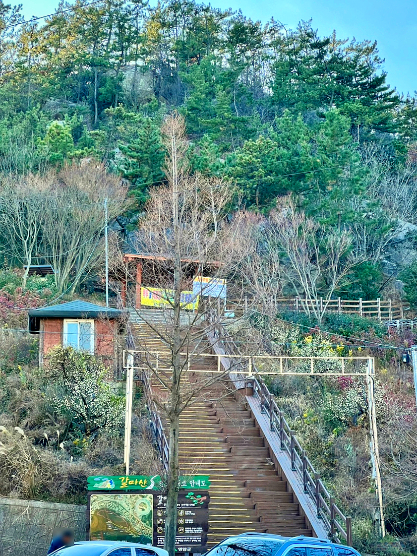 갈마산 사진 2