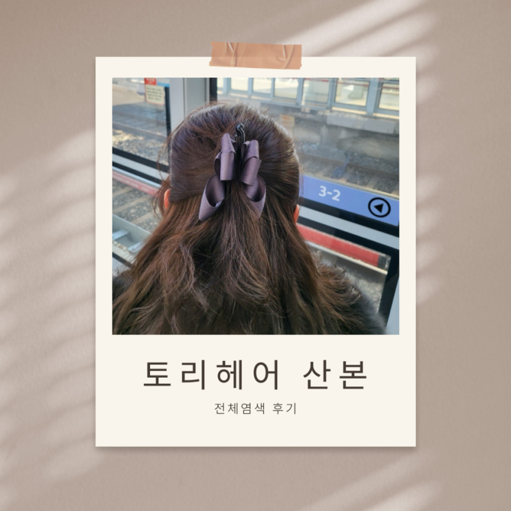  여성 전체염색 70분 컷! 산본역 미용실 토리헤어 산본점 가성비 미쳤다는 써니 실장 후기
