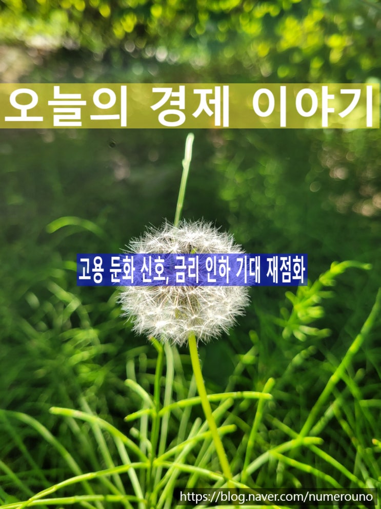 고용 둔화 신호, 금리 인하 기대 재점화