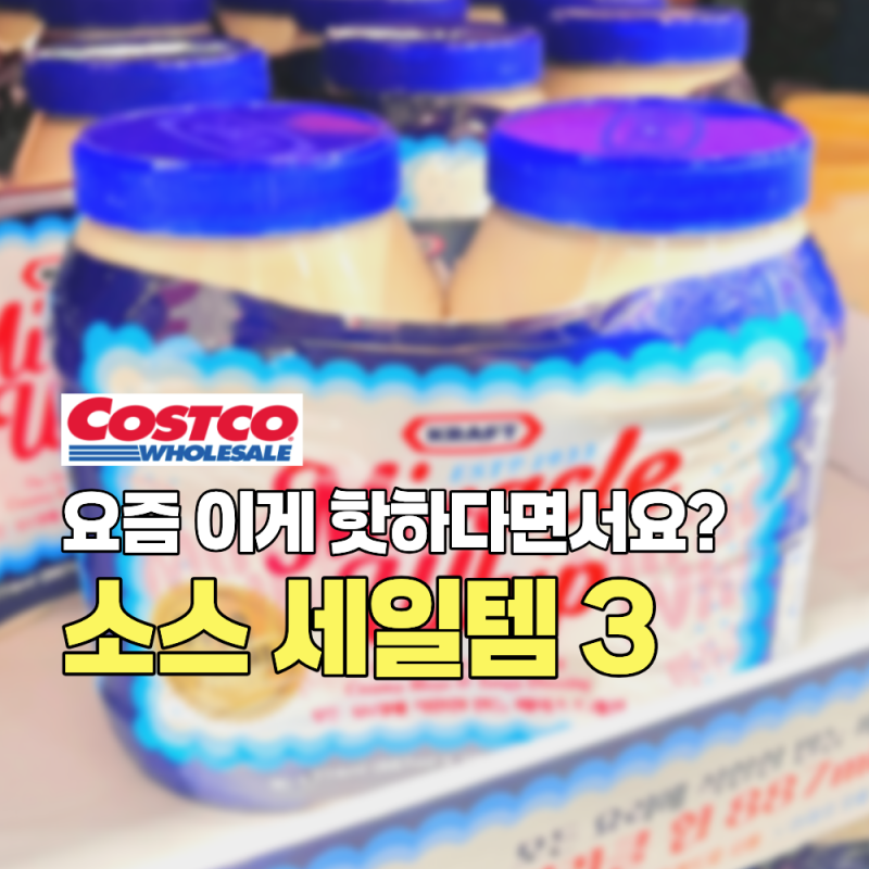 요즘 이게 핫하다면서요? 코스트코 소스 세일템 3종 (기꼬만 스테이크 간장 크래프트 아보카....