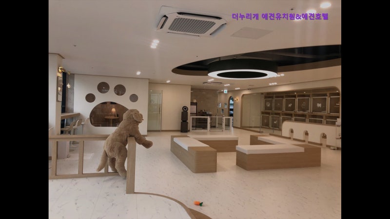 사진 5