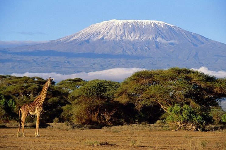  [Tanzania:Kilimanjaro]킬리만자로산｜아프리카 최고봉 트레킹·여행 정보 정리