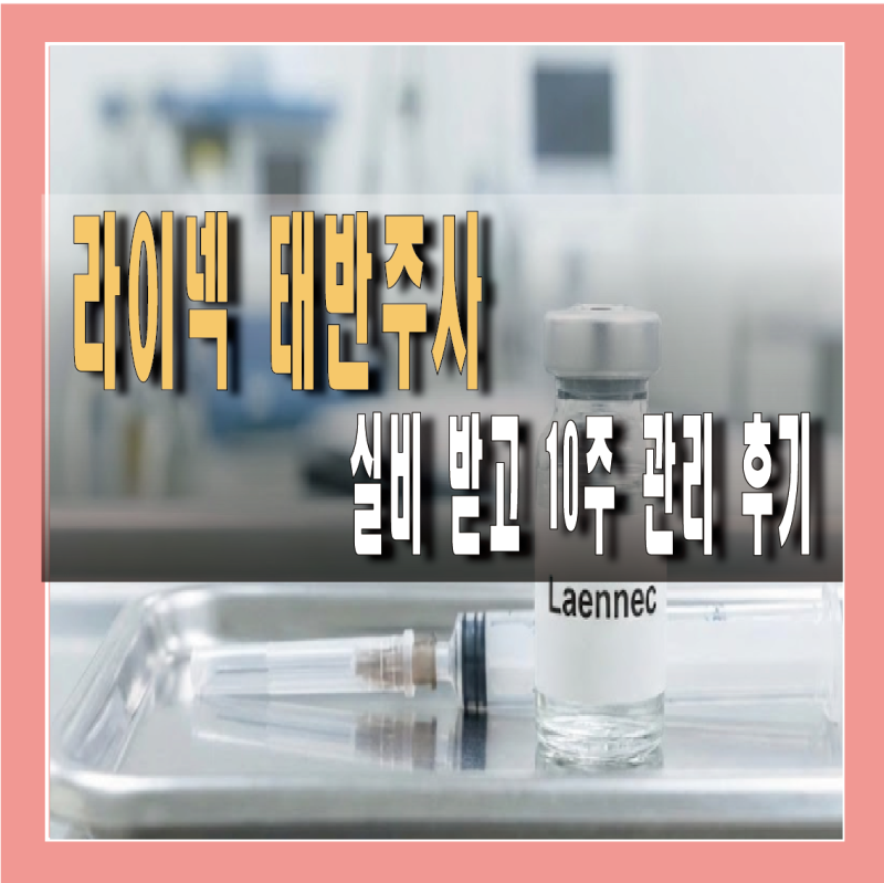 라이넥 태반주사 효능, 실비 받고 10주 관리 후기