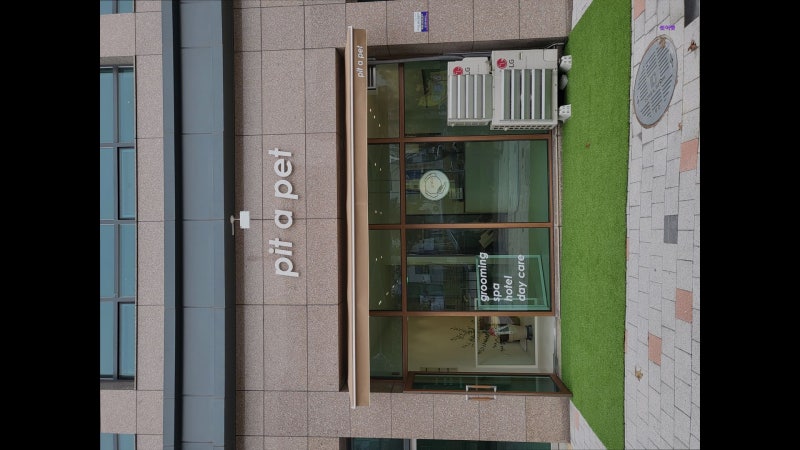 사진 5