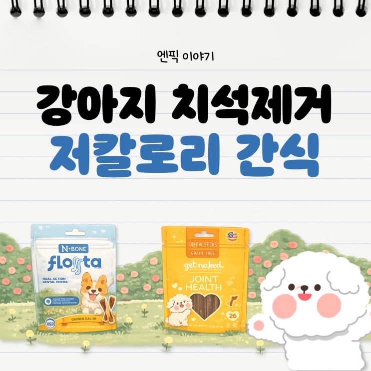  강아지 치석제거껌 NPIC 겟네이키드 & 플로스타 강아지 저칼로리 간식 추천