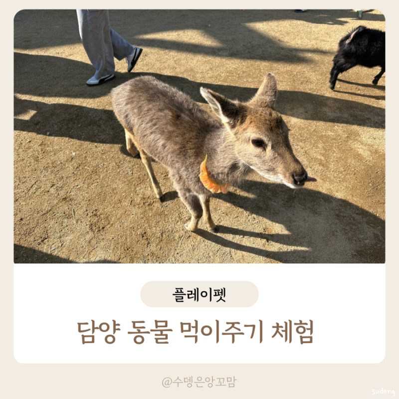 사진 5