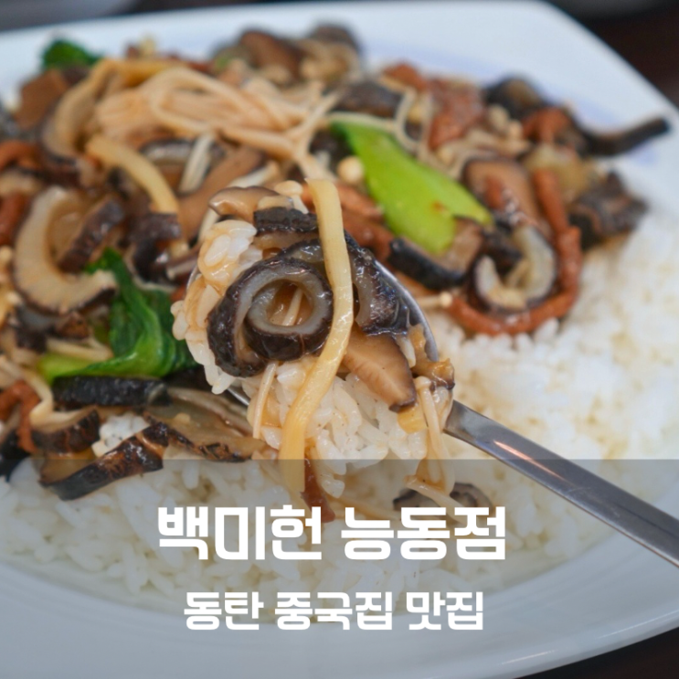  화성 동탄 중국집 백미헌 짜장면 유산슬덮밥 맛집