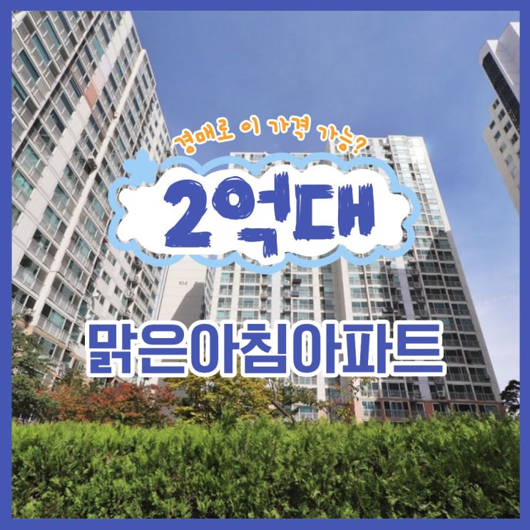  대전서구아파트경매 맑은아침아파트 입찰 정보