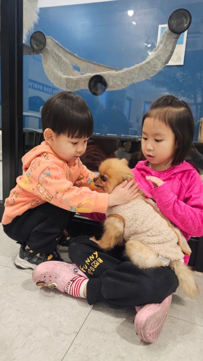 사진 5
