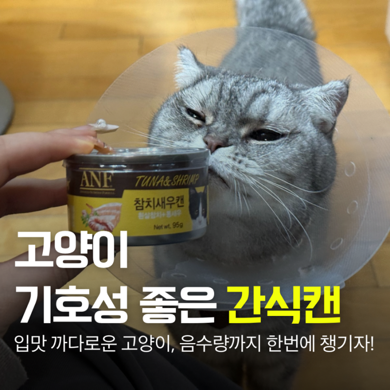 고양이 기호성 최강 ‘ANF 참치새우캔’ 고양이 간식 습식캔 추천